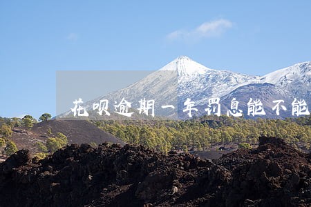花呗逾期一年罚息能不能申请减免 花呗逾期一年罚息能不能申请减免