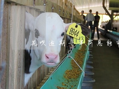 花呗逾期一年罚息能申请减免吗 花呗逾期一年罚息能申请减免吗