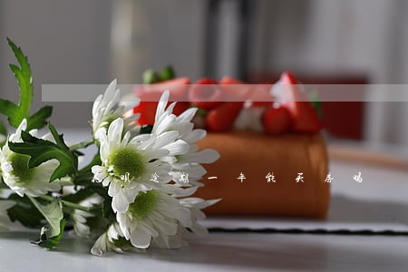 花呗逾期一年能买房吗