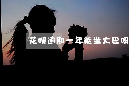 花呗逾期一年能坐大巴吗 花呗逾期一年能坐大巴吗