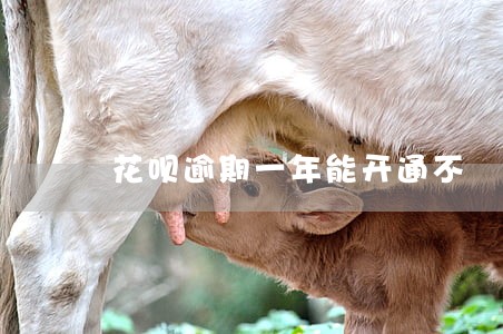 花呗逾期一年能开通不