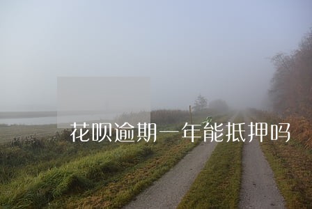 花呗逾期一年能抵押吗