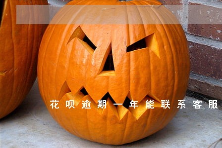 花呗逾期一年能联系客服吗 花呗逾期一年能联系客服吗