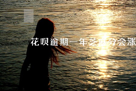 花呗逾期一年芝麻分会涨吗 花呗逾期一年芝麻分会涨吗