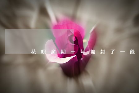 花呗逾期一年被封了一般多久解封 花呗逾期一年被封了一般多久解封