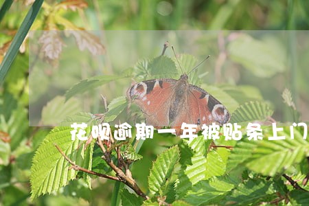 花呗逾期一年被贴条上门了 花呗逾期一年被贴条上门了