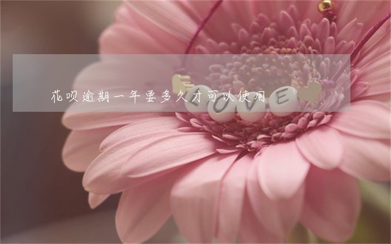 花呗逾期一年要多久才可以使用 花呗逾期一年要多久才可以使用