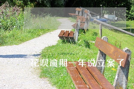 花呗逾期一年说立案了 花呗逾期一年说立案了