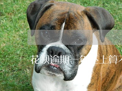 花呗逾期一年还上算不算黑户 花呗逾期一年还上算不算黑户
