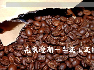 花呗逾期一年还上还能用吗 花呗逾期一年还上还能用吗