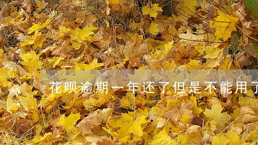 花呗逾期一年还了但是不能用了 花呗逾期一年还了但是不能用了