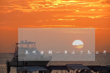 花呗逾期一年还了怎么开通 花呗逾期一年还了怎么开通