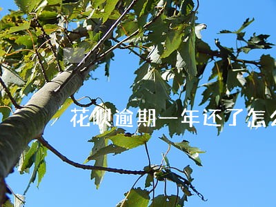 花呗逾期一年还了怎么还能继续用 花呗逾期一年还了怎么还能继续用