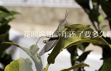花呗逾期一年还了要多久恢复 花呗逾期一年还了要多久恢复