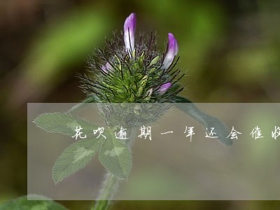 花呗逾期一年还会催收吗 花呗逾期一年还会催收吗
