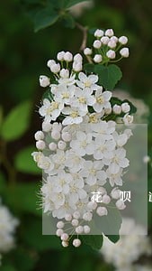花呗逾期一年还会怎样 花呗逾期一年还会怎样
