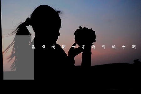 花呗逾期一年还可以分期吗 花呗逾期一年还可以分期吗