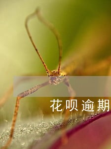 花呗逾期一年还可以还吗 花呗逾期一年还可以还吗