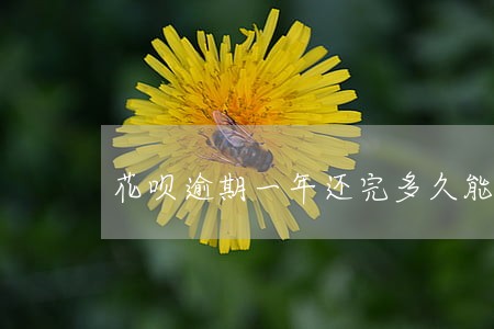 花呗逾期一年还完多久能用 花呗逾期一年还完多久能用