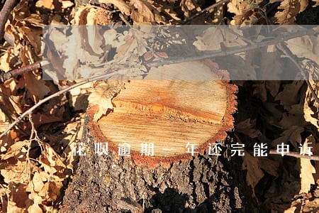 花呗逾期一年还完能申诉吗 花呗逾期一年还完能申诉吗
