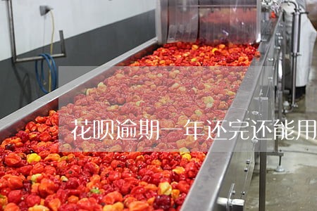 花呗逾期一年还完还能用 花呗逾期一年还完还能用