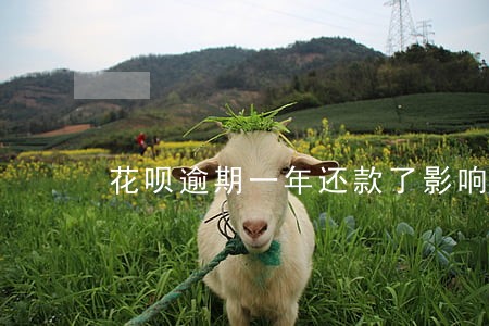 花呗逾期一年还款了影响征信吗 花呗逾期一年还款了影响征信吗
