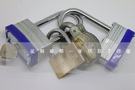 花呗逾期一年还款了还能用吗 花呗逾期一年还款了还能用吗