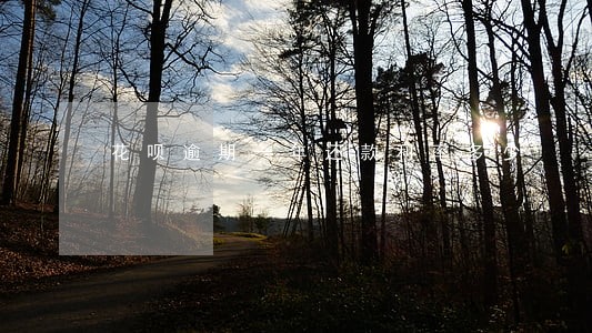 花呗逾期一年还款利率多少 花呗逾期一年还款利率多少