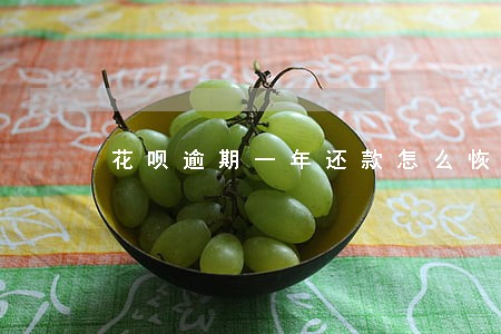 花呗逾期一年还款怎么恢复花呗 花呗逾期一年还款怎么恢复花呗
