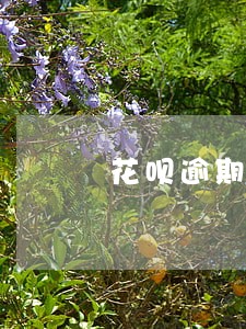 花呗逾期一年还款没有入口 花呗逾期一年还款没有入口