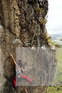 花呗逾期一年还没恢复额度 花呗逾期一年还没恢复额度
