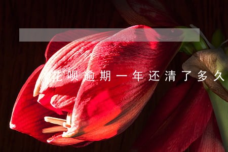 花呗逾期一年还清了多久能恢复 花呗逾期一年还清了多久能恢复
