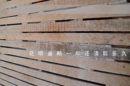 花呗逾期一年还清后多久恢复使用 花呗逾期一年还清后多久恢复使用