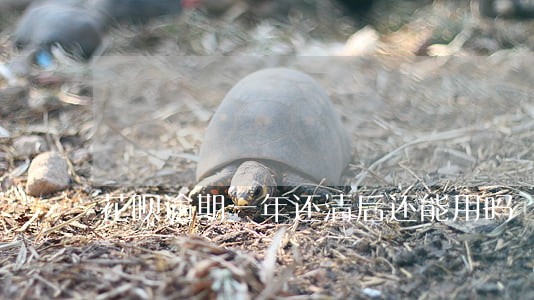花呗逾期一年还清后还能用吗 花呗逾期一年还清后还能用吗