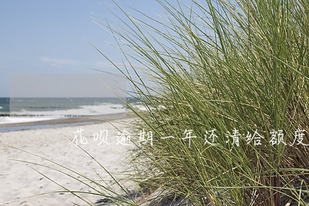 花呗逾期一年还清给额度 花呗逾期一年还清给额度
