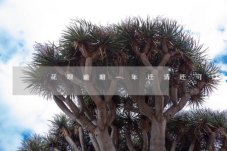 花呗逾期一年还清还可以用吗 花呗逾期一年还清还可以用吗