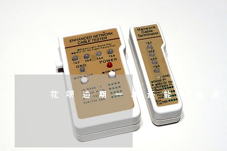 花呗逾期一年还能不能用啊 花呗逾期一年还能不能用啊