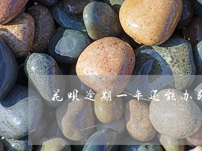 花呗逾期一年还能办助学贷吗 花呗逾期一年还能办助学贷吗