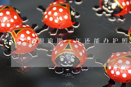 花呗逾期一年还能办护照吗 花呗逾期一年还能办护照吗