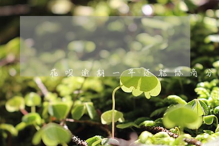 花呗逾期一年还能协商分期吗 花呗逾期一年还能协商分期吗