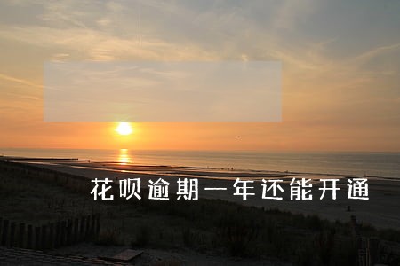 花呗逾期一年还能开通