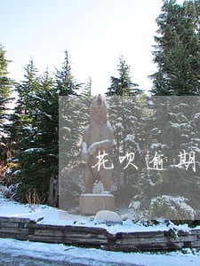 花呗逾期一年还能用淘宝吗