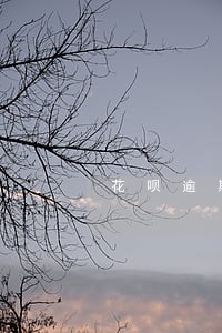 花呗逾期一年还能申请分期吗 花呗逾期一年还能申请分期吗