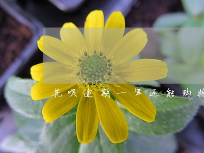 花呗逾期一年还能购物吗 花呗逾期一年还能购物吗