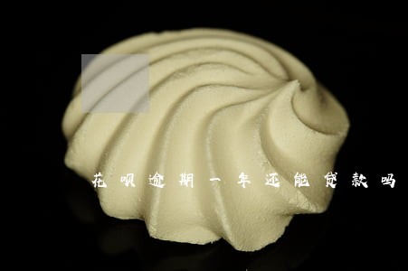 花呗逾期一年还能贷款吗 花呗逾期一年还能贷款吗