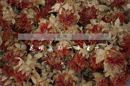 花呗逾期一年重开 花呗逾期一年重开