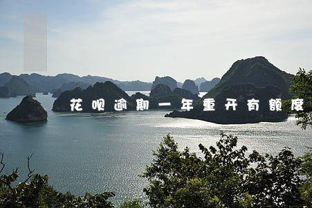 花呗逾期一年重开有额度不能用