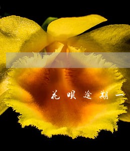 花呗逾期一年重新开通 花呗逾期一年重新开通