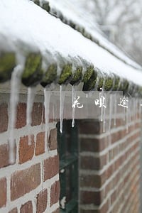 花呗逾期一年需要还多少