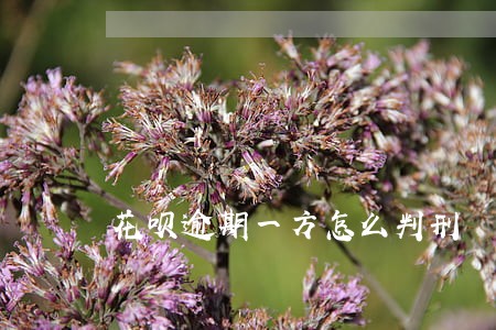 花呗逾期一方怎么判刑 花呗逾期一方怎么判刑